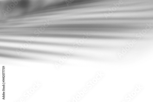 shadow overlay effects,realistic palm tree branch shadow on transparent background,Natural shadow of tropical palm leaf,shadow for presentation interior backdrop photo,Summer plants shadow overla