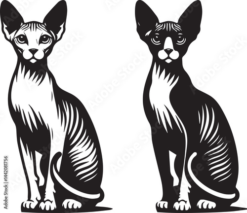 Sphynx Cat Vector Black and White Line Art Illustration	
