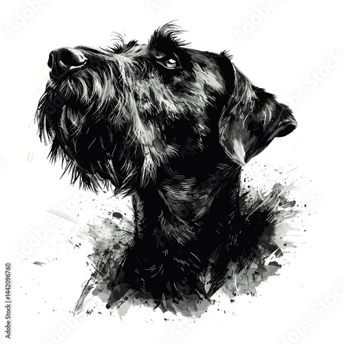 Black and white Irish Wolfhound brush illustration, minimalist vintage sketch, engraving style dog art, trendy pet drawing, rustic canine design, detailed line art, classic poster,