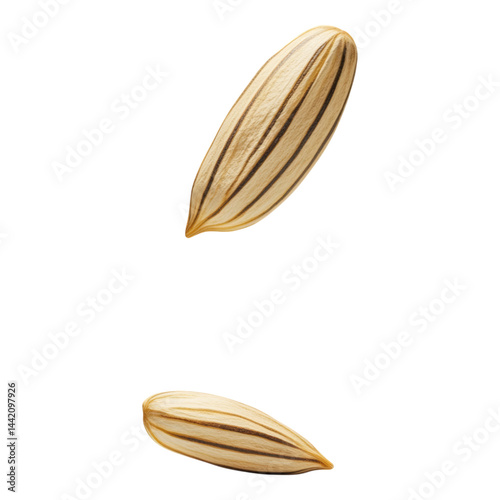 Raw Sunflower Seed with Striped Shell on White  Isolated on transparent background