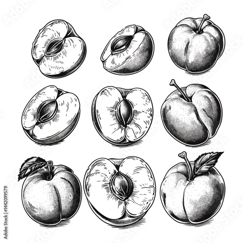 Minimal style apricot set, hand-drawn with bold black lines, organic fruit illustration, botanical sketch, summer fruits, aesthetic design, vintage fruit drawing, natural food art