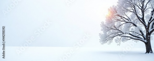 Snowy tree branches isolated on white background, frost, peaceful