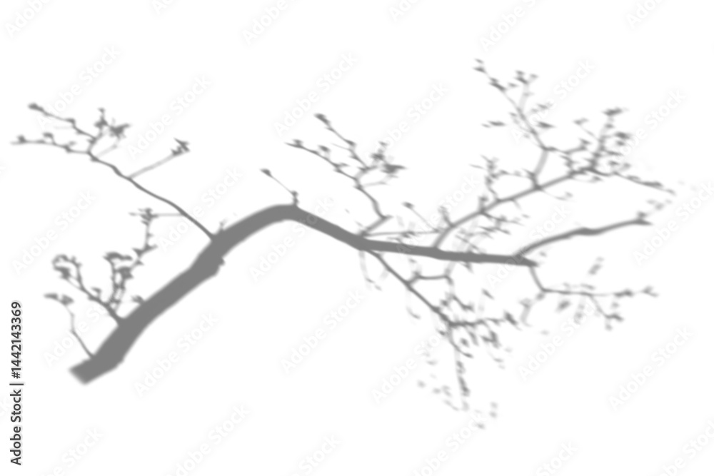Obraz premium Tree branch png shadow effect, transparent background