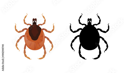 Mite and its silhouette crawling on white background