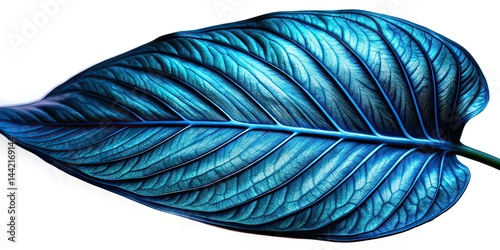 Obraz na płótnie Mystical Blue Tropical Leaf Macro w salonie