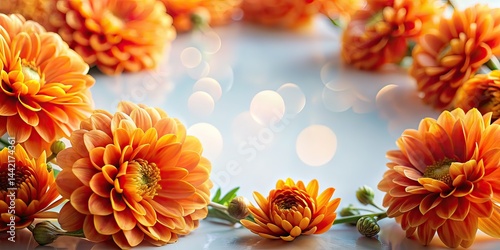 Obraz na płótnie Orange Flowers on White Background - Fashion Photography w salonie