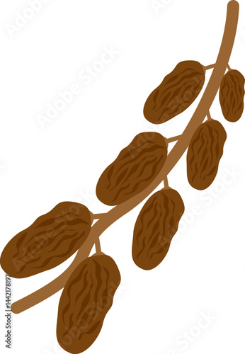 Dates Illustration