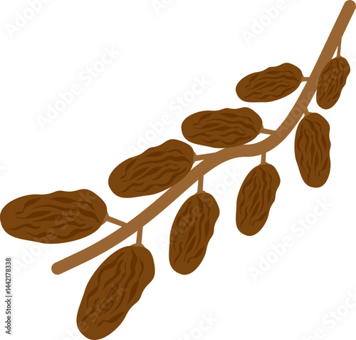 Dates Illustration