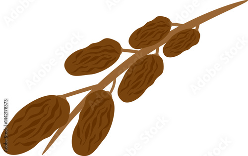 Dates Illustration