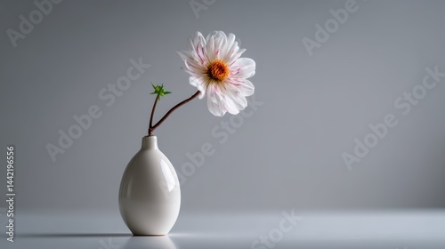 a small white vase with a single flower on a white isolated background, minimalist and fresh
