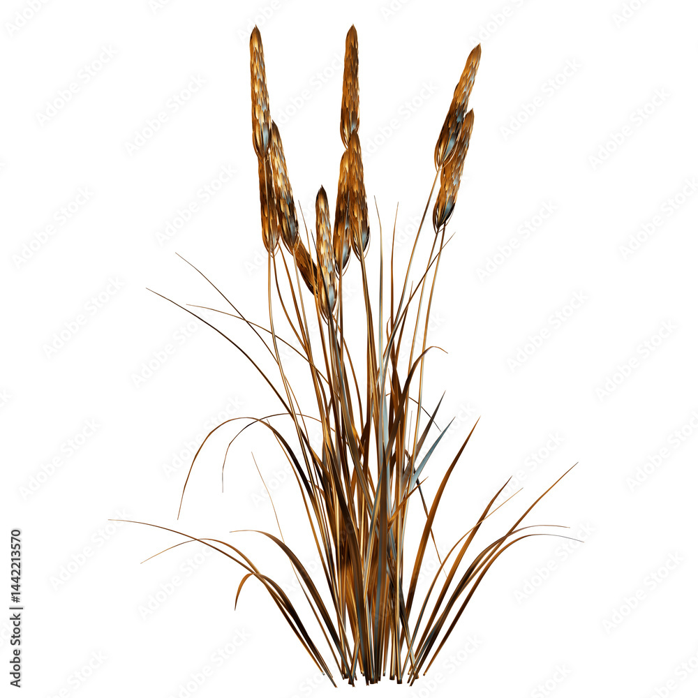 Fototapeta premium wheat, agriculture, grain, food, cereal, ear, plant, corn, isolated, bread, crop, barley, white, nature, seed, harvest, yellow, gold, rye, golden, ears, natural, summer, ripe, spike