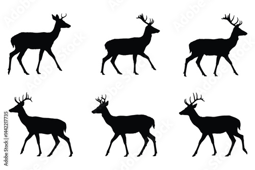 Set of deer and stag silhouettes in various standing and walking poses isolated on white background

