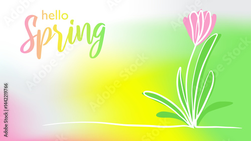 hand drawn pink tulip flower "Hello Spring" lettering green, yellow, pink gradient background. trendy illustration for banners, cards, social media, seasonal poster, flyer, web banner, social media.
