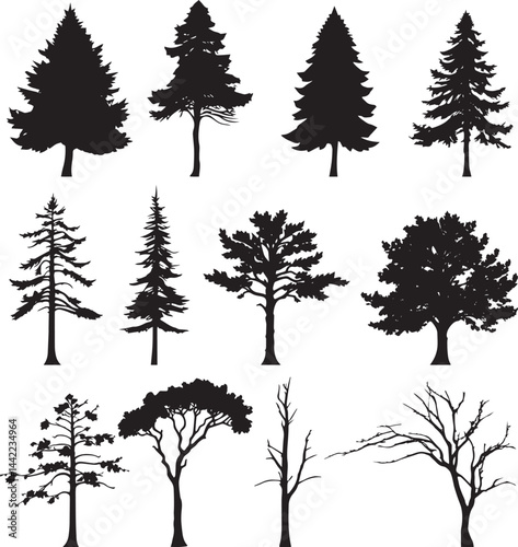 Tree Silhouette Collection – Black and White Vector Illustrations of Diverse Botanical Tree Shapes and Forest Elements