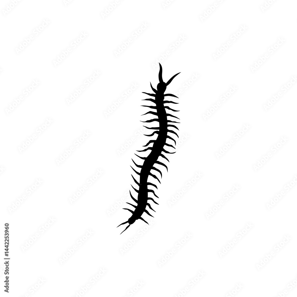 Centipede silhouette cartoon. Vector illustration Centipede silhouette cartoon. Vector illustration
