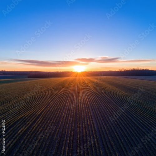 Sunrise over a plowed field