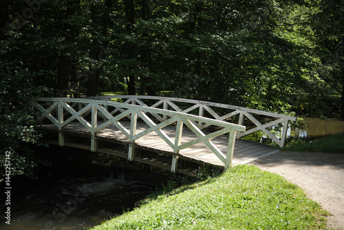 Obraz na płótnie A Beautifully Charming Wooden Bridge Nestled Within an Exquisite Landscape of Lush Greenery w salonie