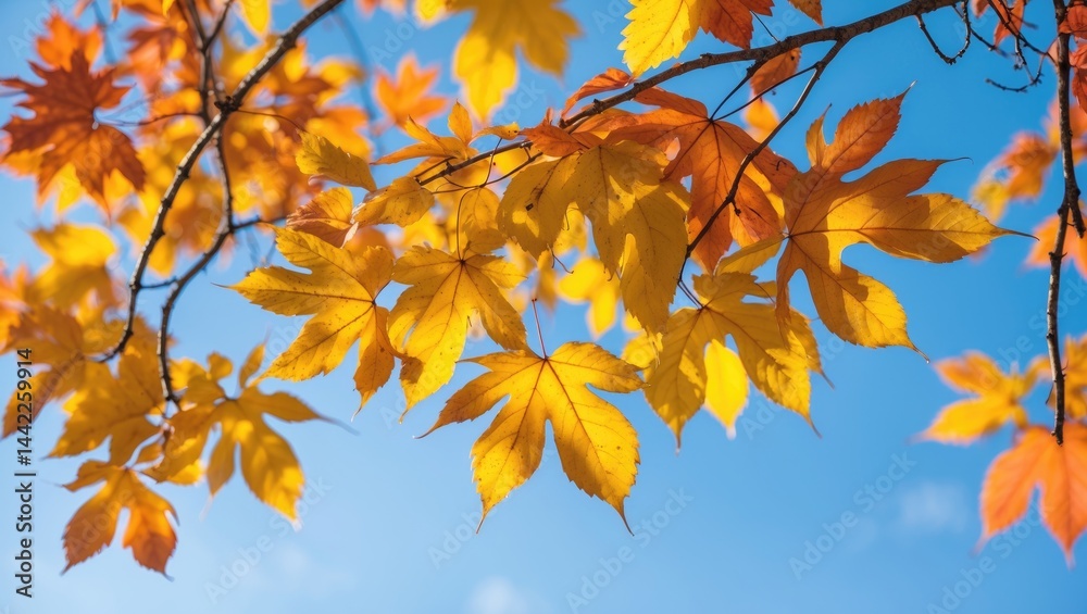 Obraz premium Background filled with autumn leaves and text area available