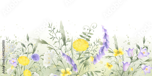 Wildflowers bellflower, dandelion, yarrow, mouse pea and meadow grasses. Hand drawn isolated watercolor seamless border of yellow lilac field flower on green stain. Horizontal banner with copy space.