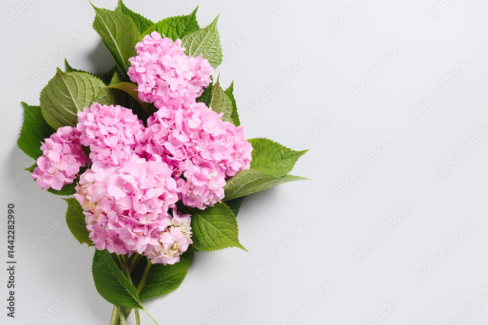 Bouquet of pink hydrangea flower on pastel gray background. Creative banner in minimal style. Greeting card for Mother day. Copy space.