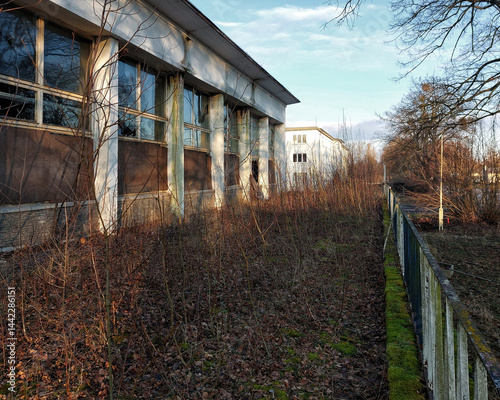 Abandoned industrial building with broken windows and overgrown vegetation in late afternoon light