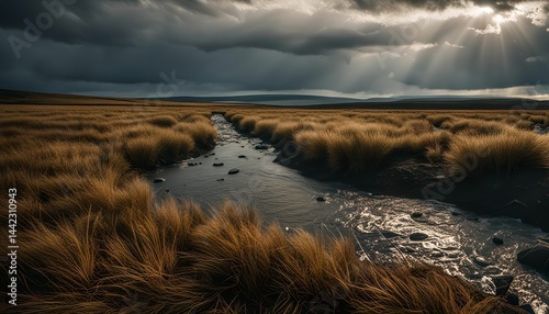 Stream Through Grassy Meadow Under Dramatic Sky