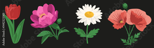 Set grunge Summer Flowers isolated black background. Realistic hand drawn Floral collection. Vector illustration for botany greeting card cover design. EPS 10