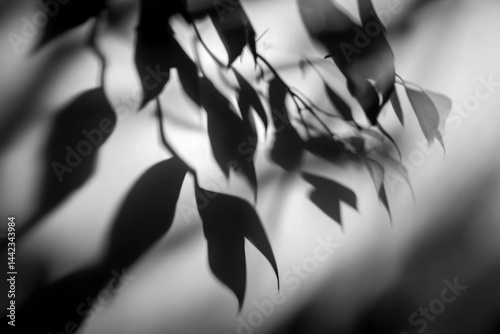 An abstract background with a black and white texture of a leaf's shadow is displayed on a concrete wall