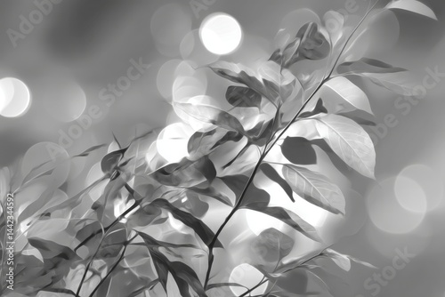 On a concrete wall, an abstract textured background in black and white depicts the shadow of a leaf