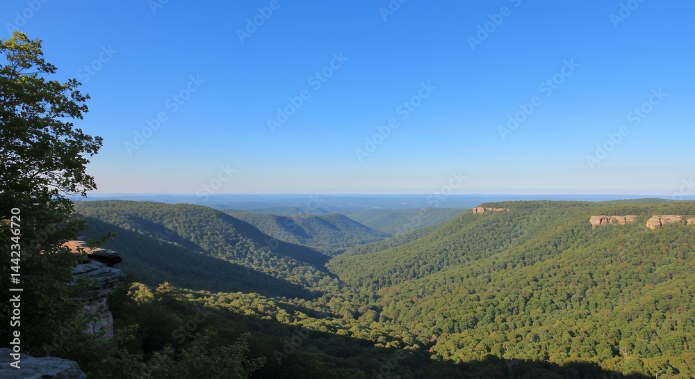 Panoramic view of a green valley with forest and mountains under a clear blue sky Panoramic view of a green valley with forest and mountains under a clear blue sky