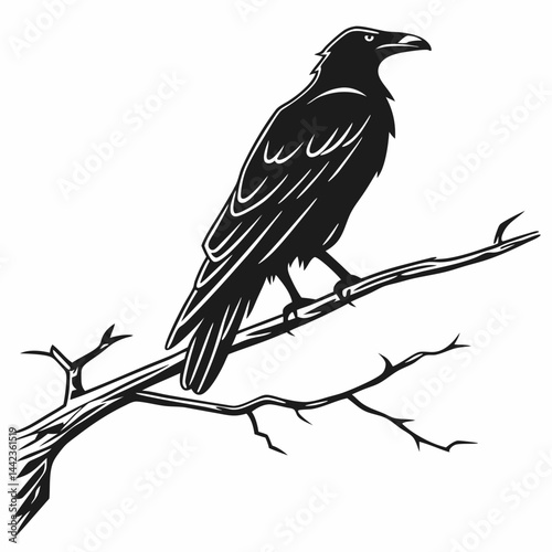 crow on a branch