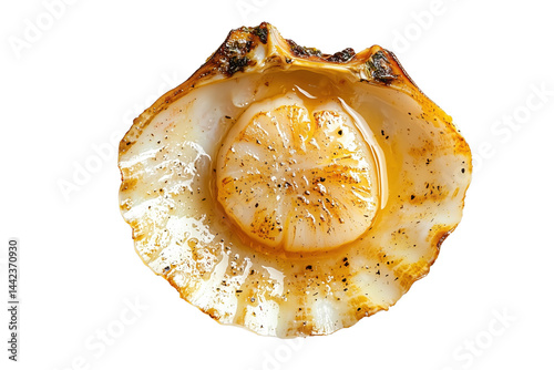 Backed scallop meat on shell, grilled. Isolated element with transparent background