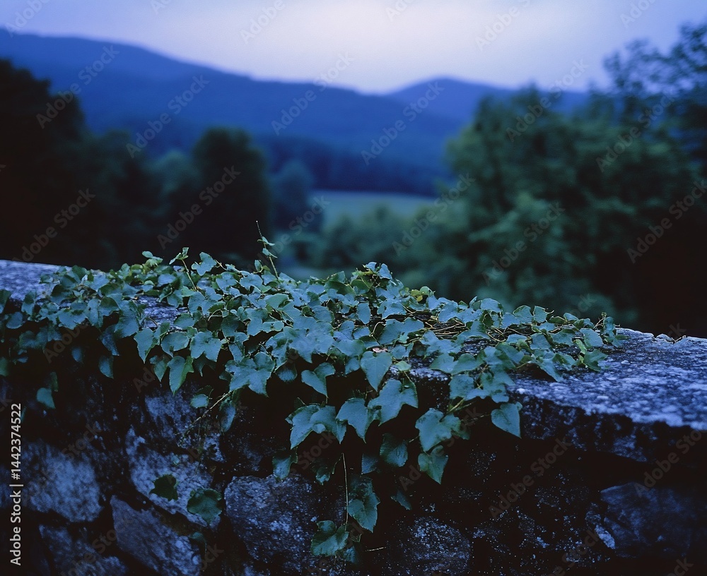 Ivy growing on a stone wall overlooking a scenic mountain valley at dusk.