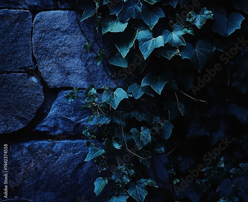 Obraz na płótnie Dark green ivy growing on a dark blue stone wall. w salonie
