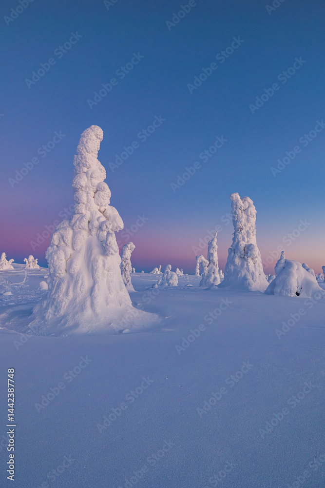 winter landscape with snow