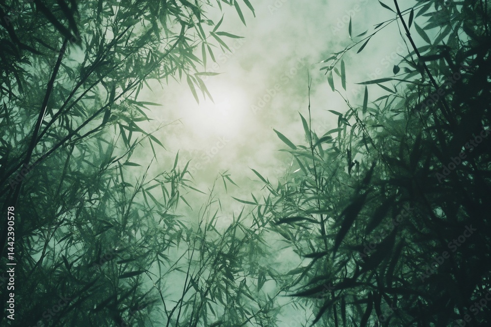 Low angle view of bamboo leaves and branches against a hazy sky.