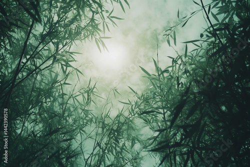 Obraz na płótnie Low angle view of bamboo leaves and branches against a hazy sky. w salonie