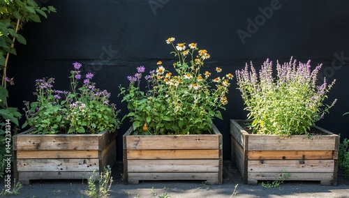 Obraz na płótnie Three wooden planters with various blooming flowers against a dark wall. w salonie