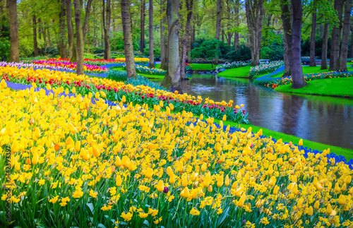 Obraz na płótnie Colorful growing yellow and blue flowerbed in spring formal garden with river w salonie