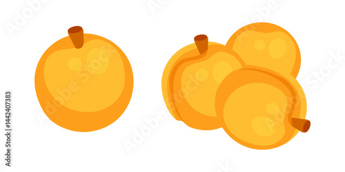 Fresh apricots showing their vibrant orange color and fuzzy skin