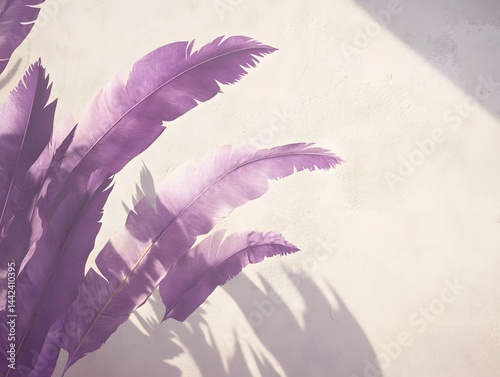 Elegant Purple Feathers on Textured Wall Background