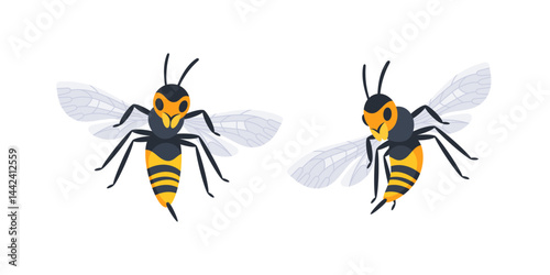 Two wasps flying and showing their wings and stingers