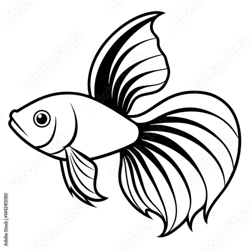 vector illustration of Betta Fish