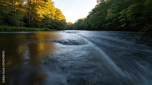 Video of flowing river reflecting trees and sky in a forest with golden sunlight