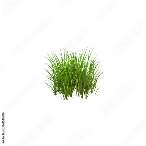 Lush Green Grass Tuft, Isolated on Transparent Background