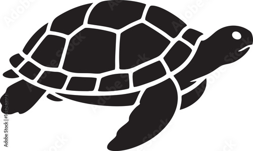 silhouette of a swimming sea turtle with detailed shell pattern