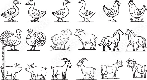 Farm Animal Line Art Illustrations – Ducks, Chickens, Horses, Cows & More

