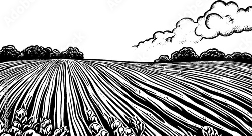 A stylized black and white illustration of a vast agricultural field with furrows, bordered by trees and clouds in the sky.