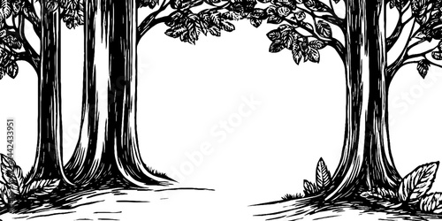 A hand-drawn illustration of trees with detailed bark and leaves, creating a natural frame. The background is blank, emphasizing the trees on either side.