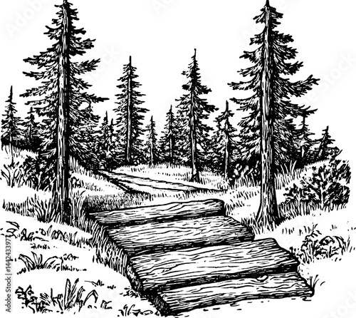 A hand-drawn illustration of a forest path with wooden logs as stepping stones. Tall pine trees surround the pathway, creating a serene natural setting.